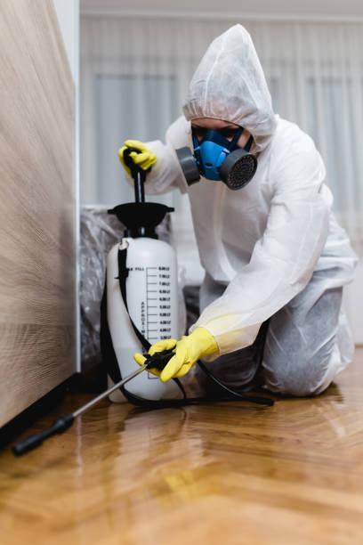 Pest Control for Hotels in Allen Park, MI